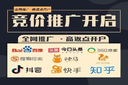 竞价推广实战：经典案例深度解析